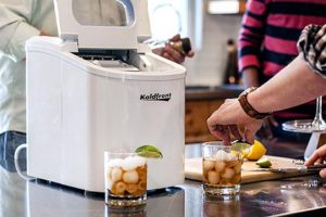 Effective and Reasonable Portable Ice Maker