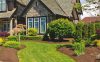 Easy Ways to Find Affordable Landscaping Ideas Quickly