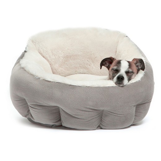 choosing the right dog bed