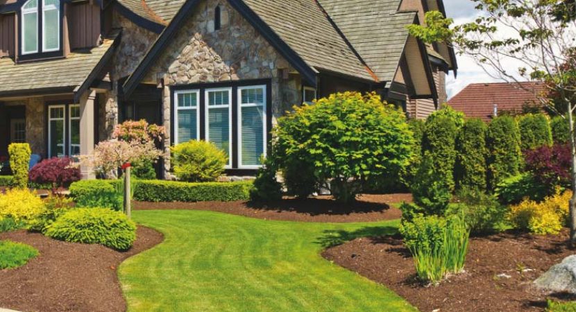 Easy Ways to Find Affordable Landscaping Ideas Quickly